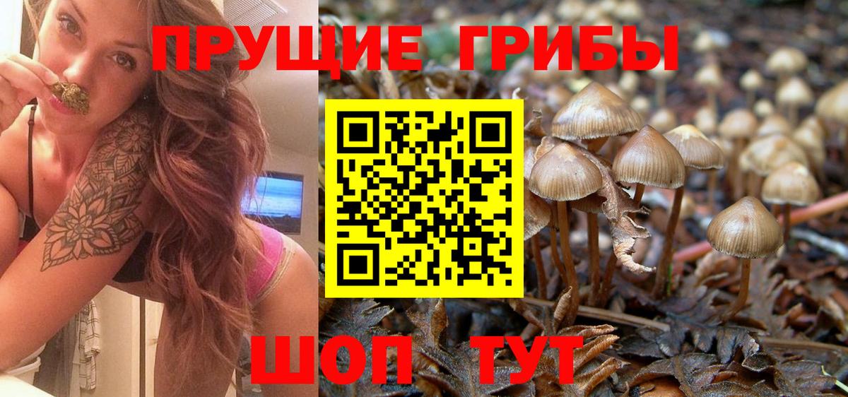 Псилоцибиновые грибы мухоморы Ишимбай